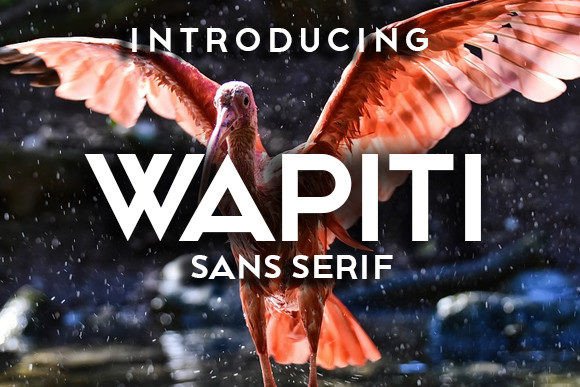Elevate Editorial Layouts with the Wapiti Typeface