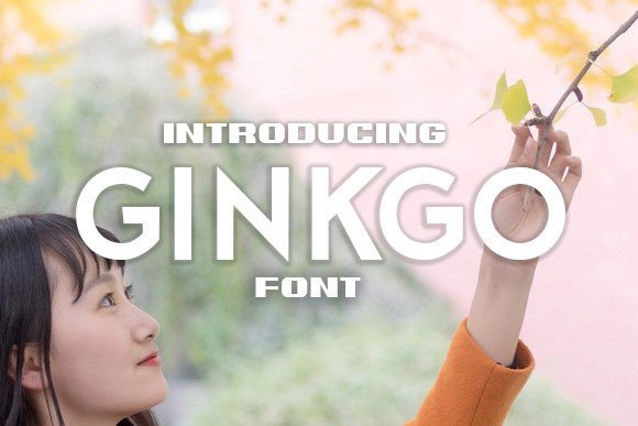 Ginkgo: The Modern Sans Serif for Makers