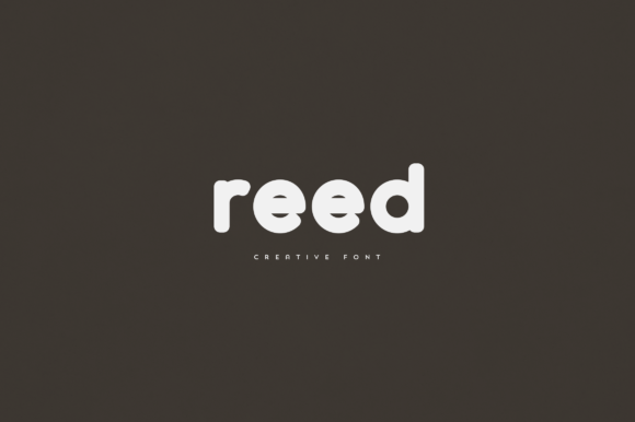 Reed: A Versatile Sans Serif Font for Modern Web Design