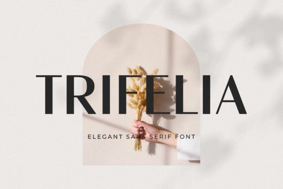 Trifelia: The Modern Sans Serif Font for Branding