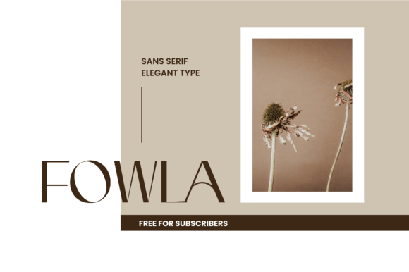 Upgrade Your Brand Visuals with Fowla Typeface